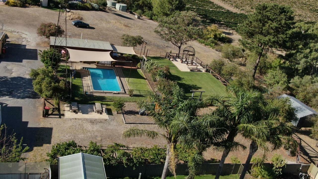 Angaston Vineyards Motel Exteriör bild