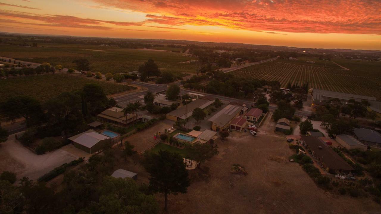 Angaston Vineyards Motel Exteriör bild